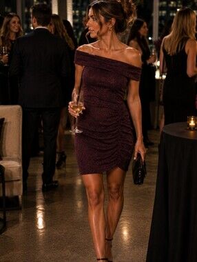 NWT Windsor One-Shoulder Sparkling Plum Ruched Dress